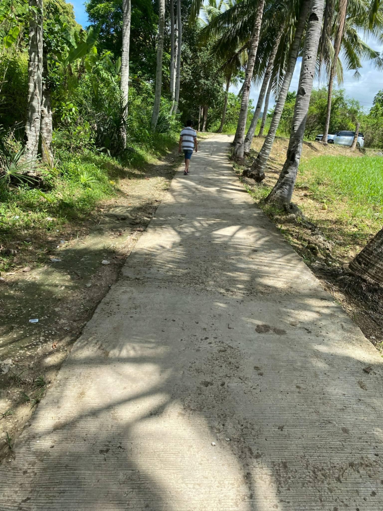 FARM LOT FOR SALE AT DANAO CITY CEBU - photo 6