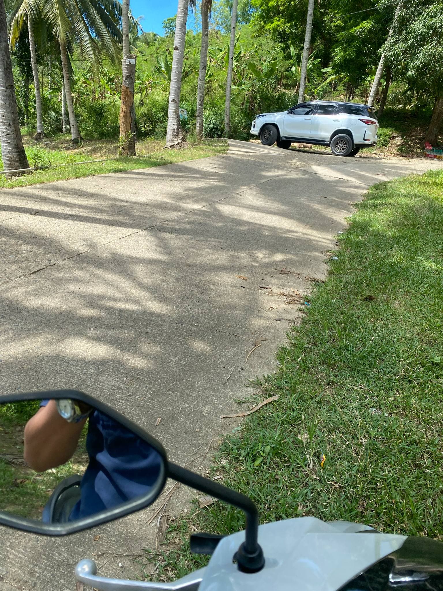 FARM LOT FOR SALE AT DANAO CITY CEBU - photo 1