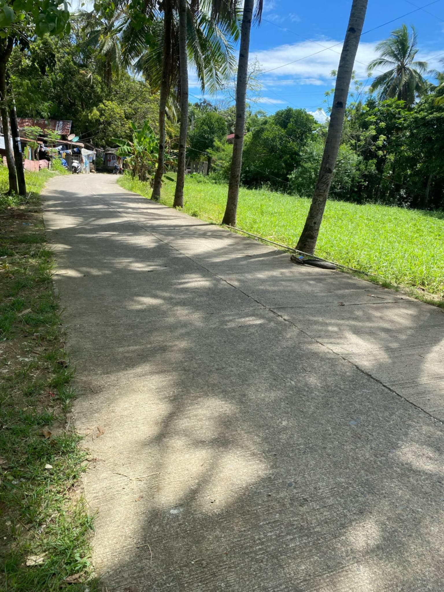 FARM LOT FOR SALE AT DANAO CITY CEBU - photo 2