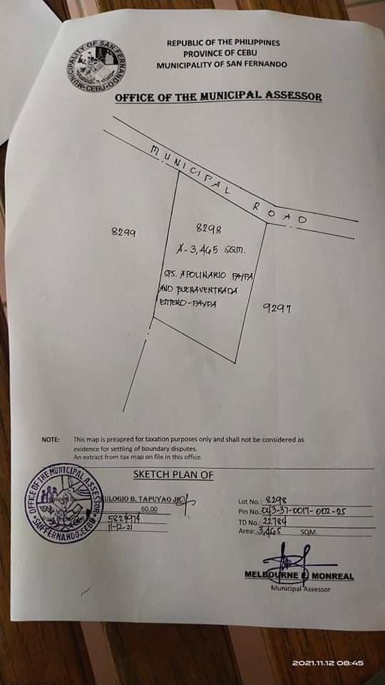 Agricultural Lot for Sale at pho500 per sq.m - photo 4