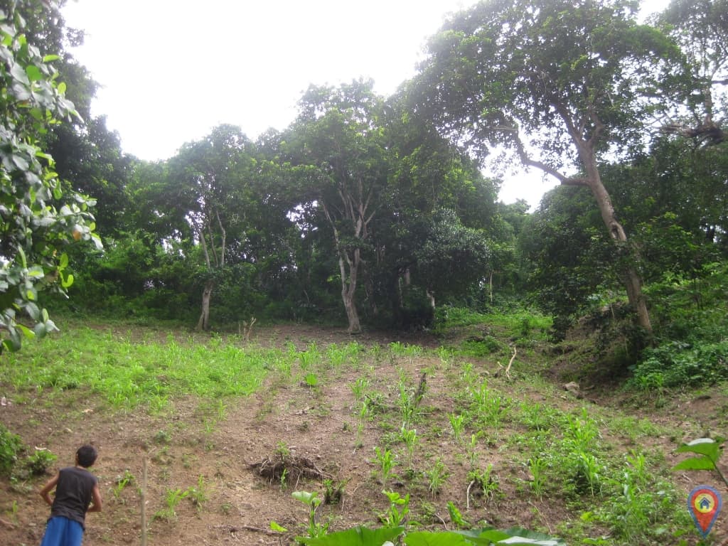 Lot for sale in Kalunasan, Cebu City for only Php1,500/sqm. - photo 2
