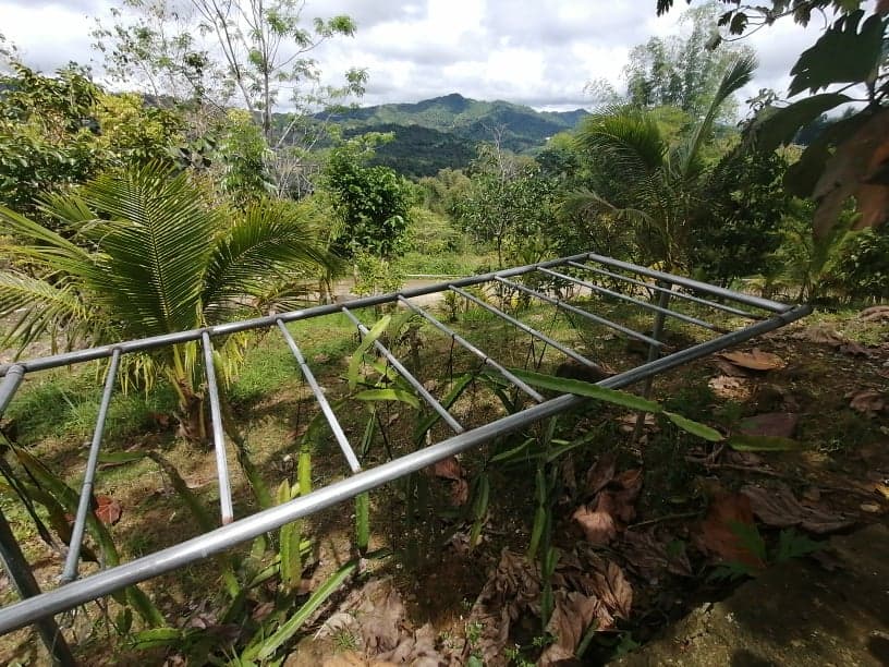 Paril Farm for SALE Cebu City  - Titled Property