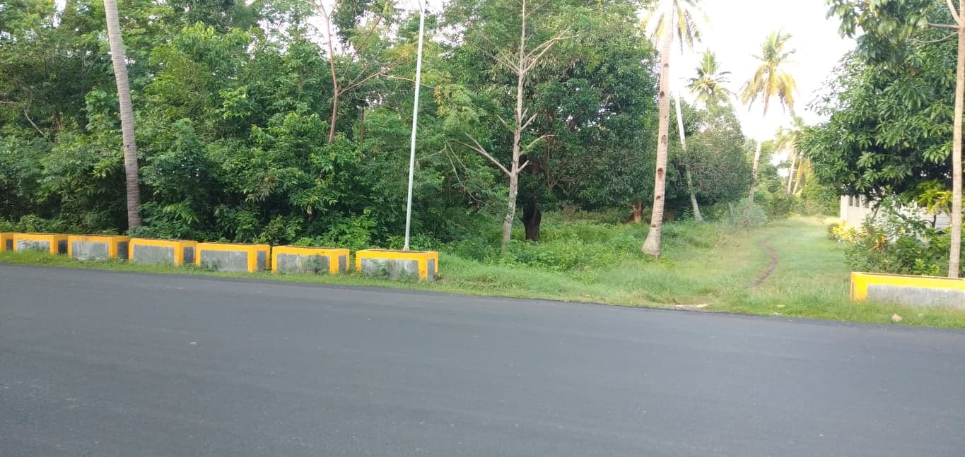 2,389 SQM LOT IN SAN REMIGIO, NORTH CEBU - photo 6