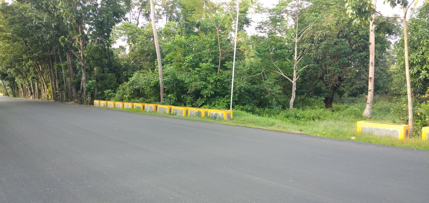 2,389 SQM LOT IN SAN REMIGIO, NORTH CEBU - photo 3