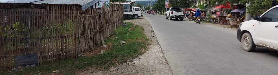 LARAY CONSOLACION LOT FOR SALE - photo 2