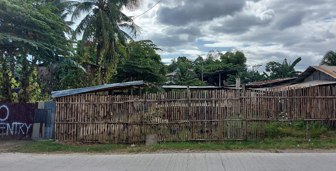 LARAY CONSOLACION LOT FOR SALE - photo 3