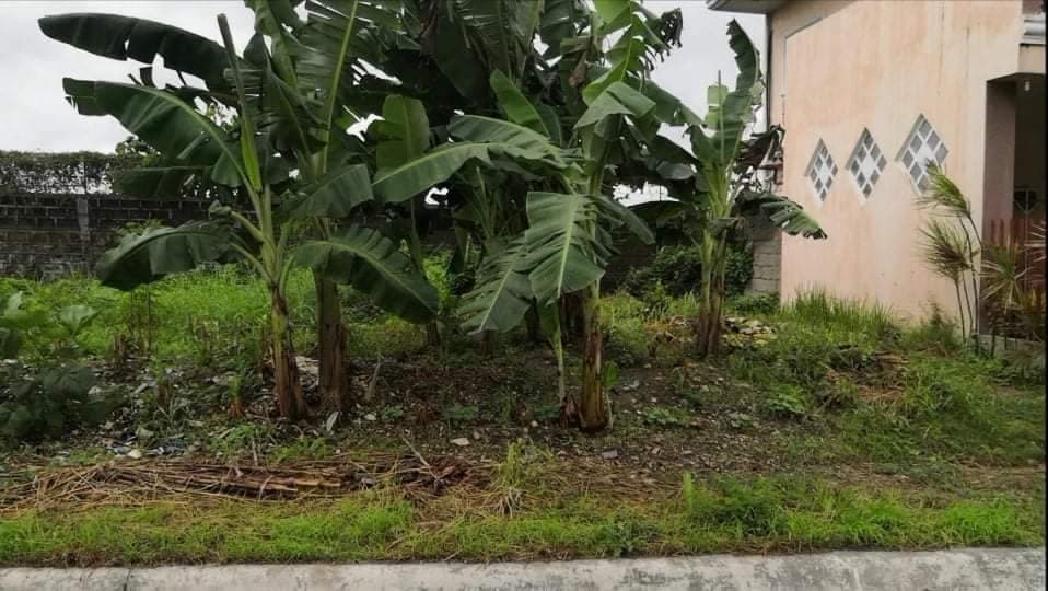 LAPU-LAPU LOT FOR SALE - photo 2