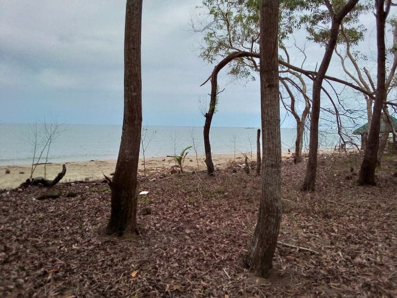 Sipalay City Beach Lot - photo 5