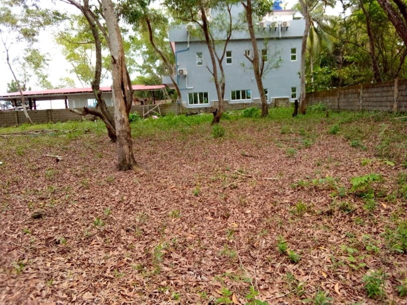 Sipalay City Beach Lot - photo 3