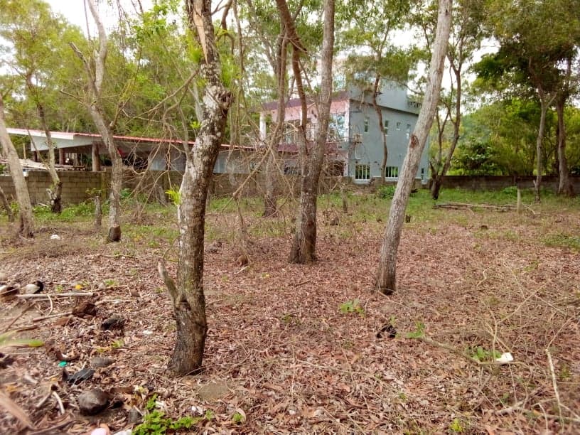 Sipalay City Beach Lot - photo 6