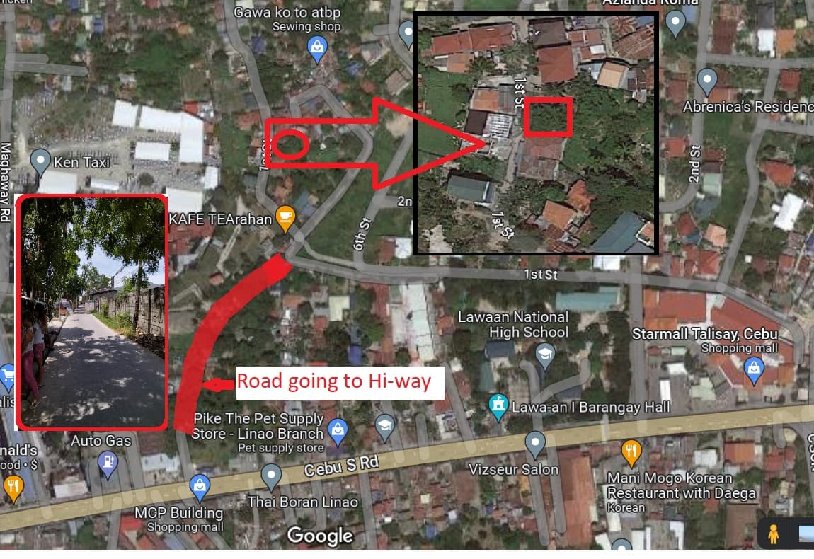 LOT FOR SALE IN TALISAY - photo 4