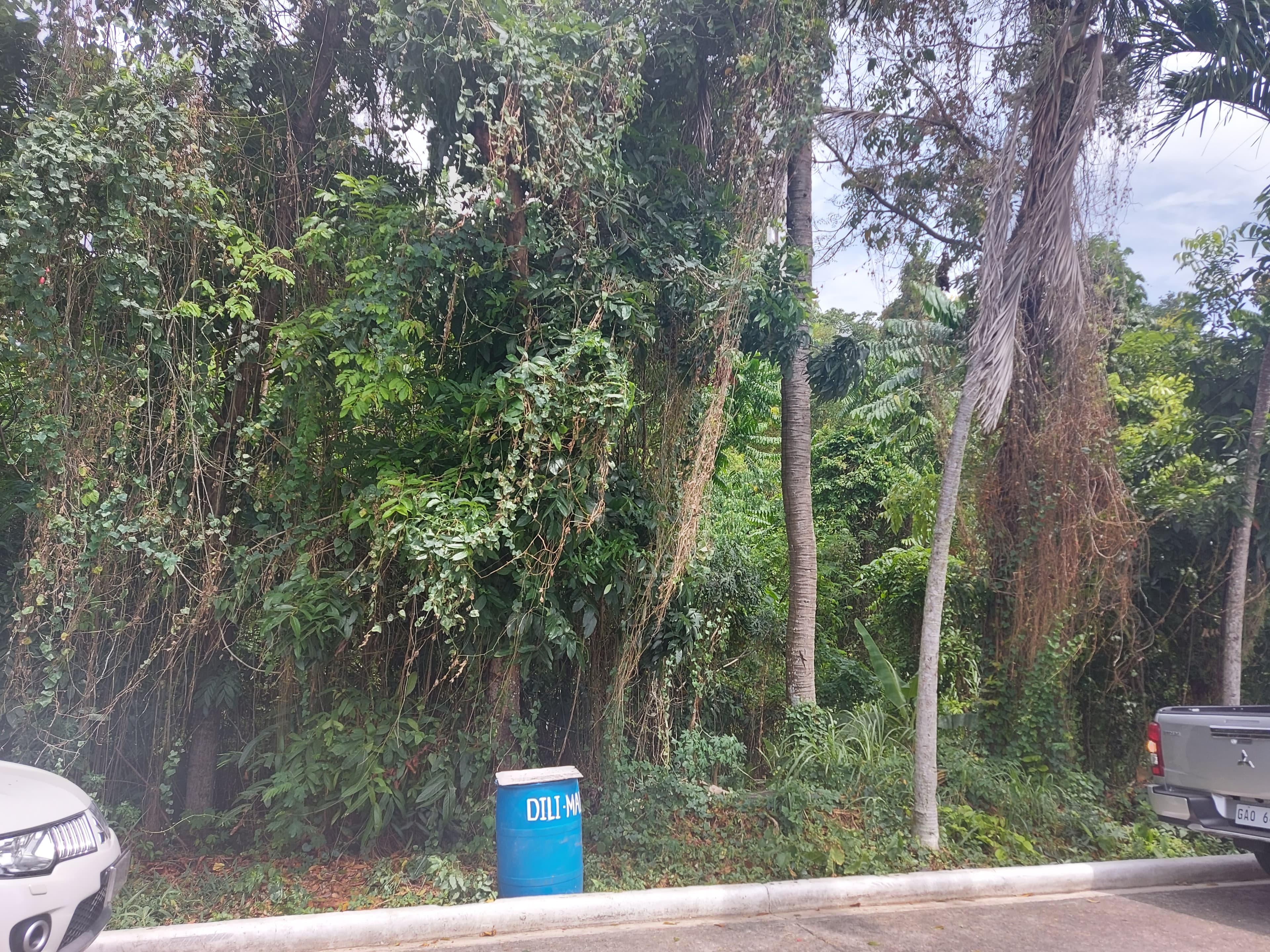 Subdivision Lot for Sale!!