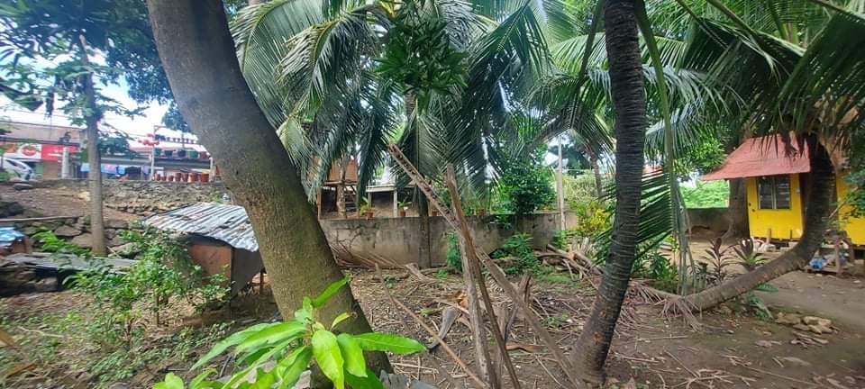 Lot for Sale - photo 7