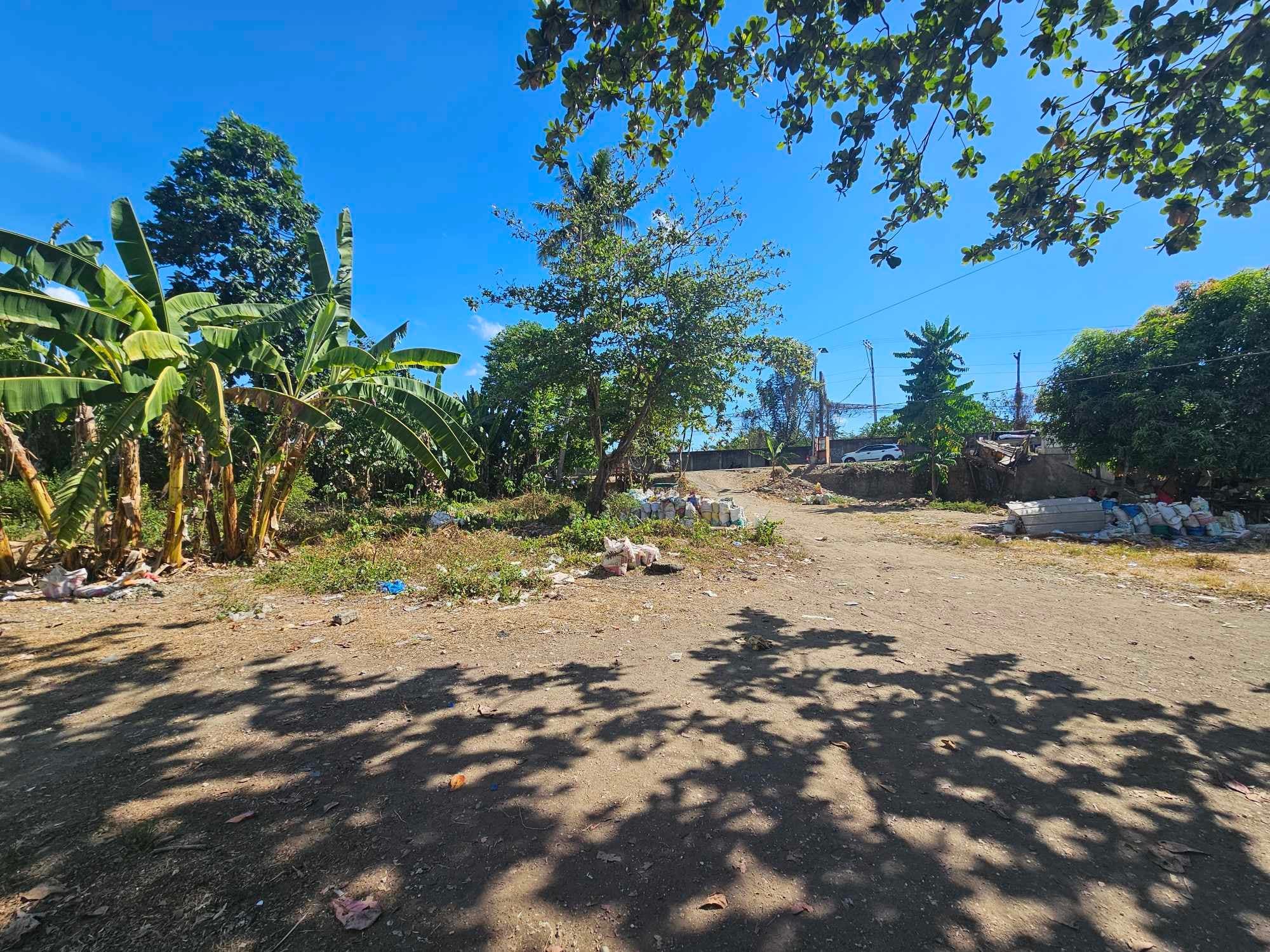 FOR SALE COMMERCIAL LOT AT TABOC DANAO CITY - photo 3
