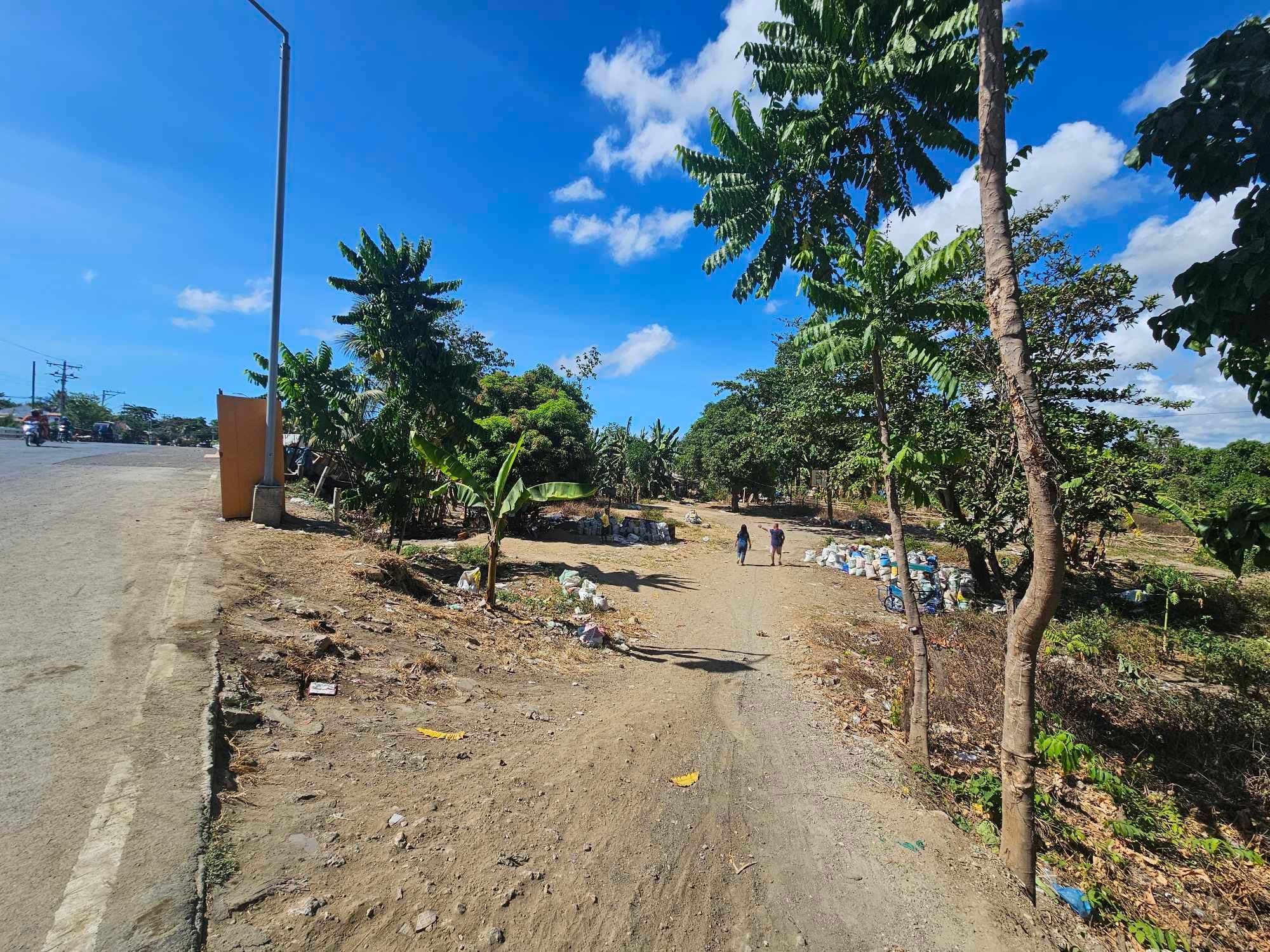 FOR SALE COMMERCIAL LOT AT TABOC DANAO CITY - photo 4