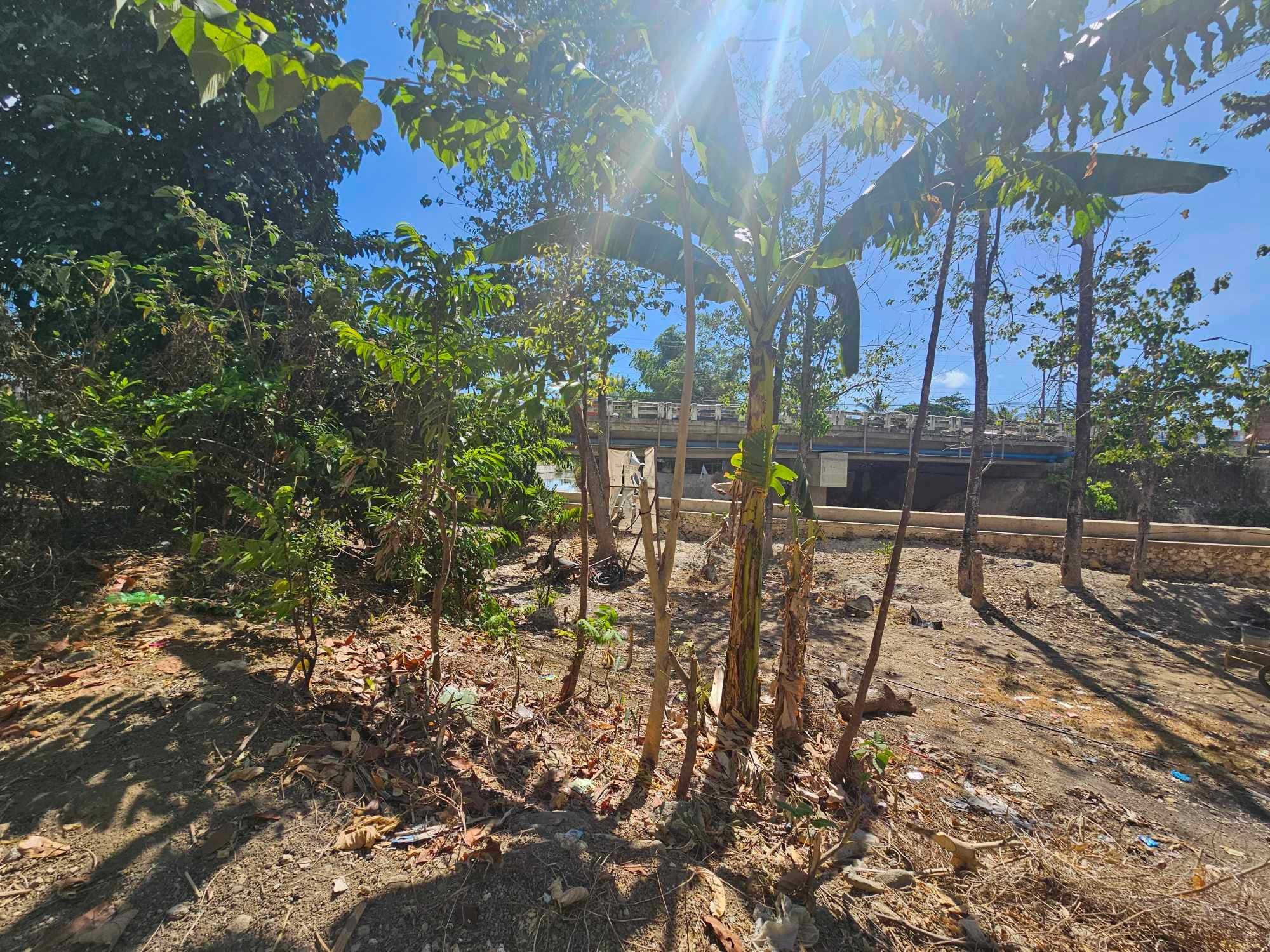 FOR SALE COMMERCIAL LOT AT TABOC DANAO CITY - photo 1