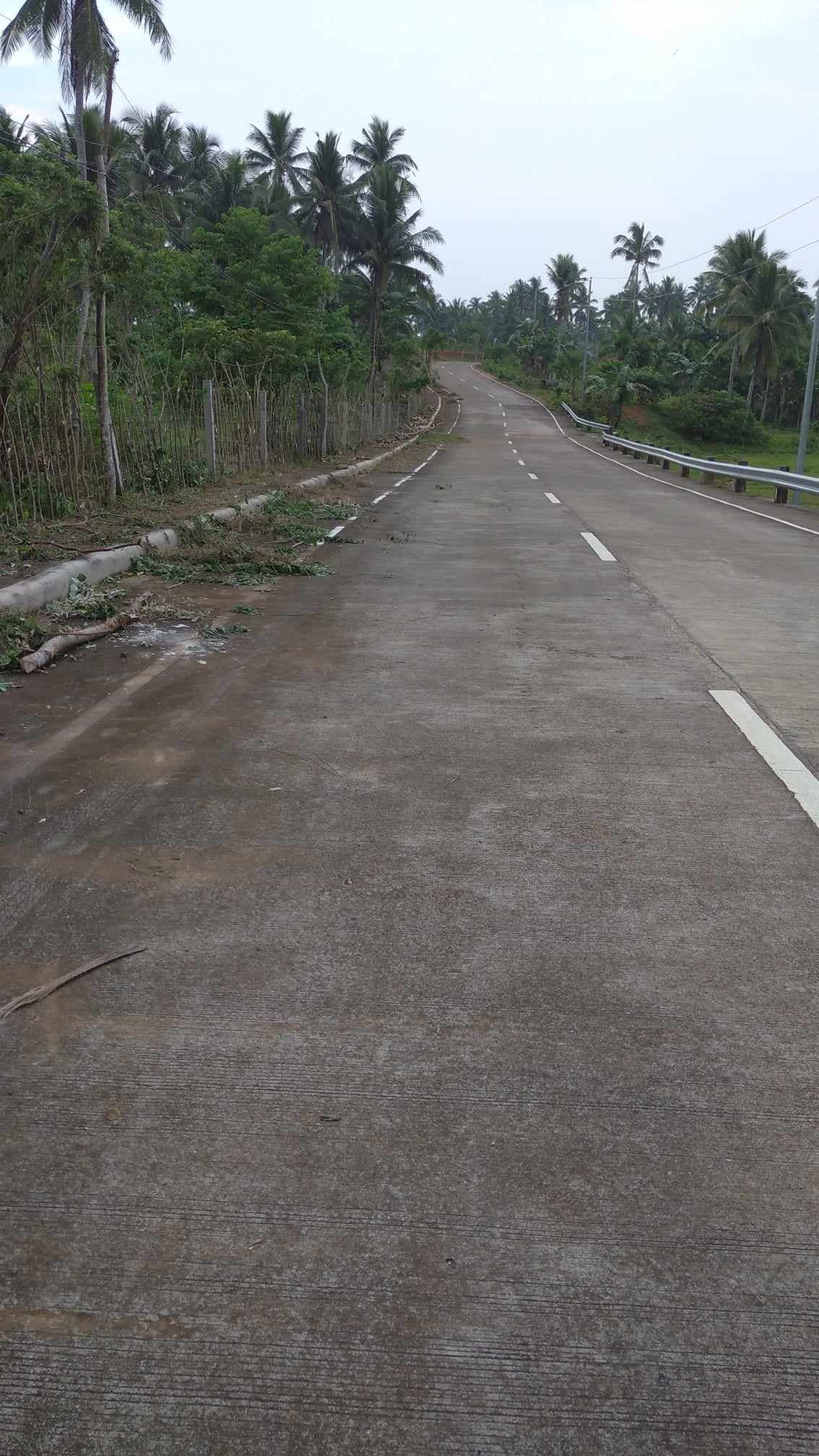 Agricultural Lot - photo 3