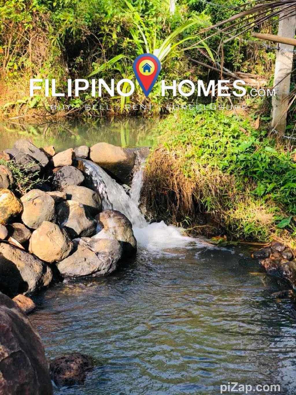 Agricultural Lot - photo 5