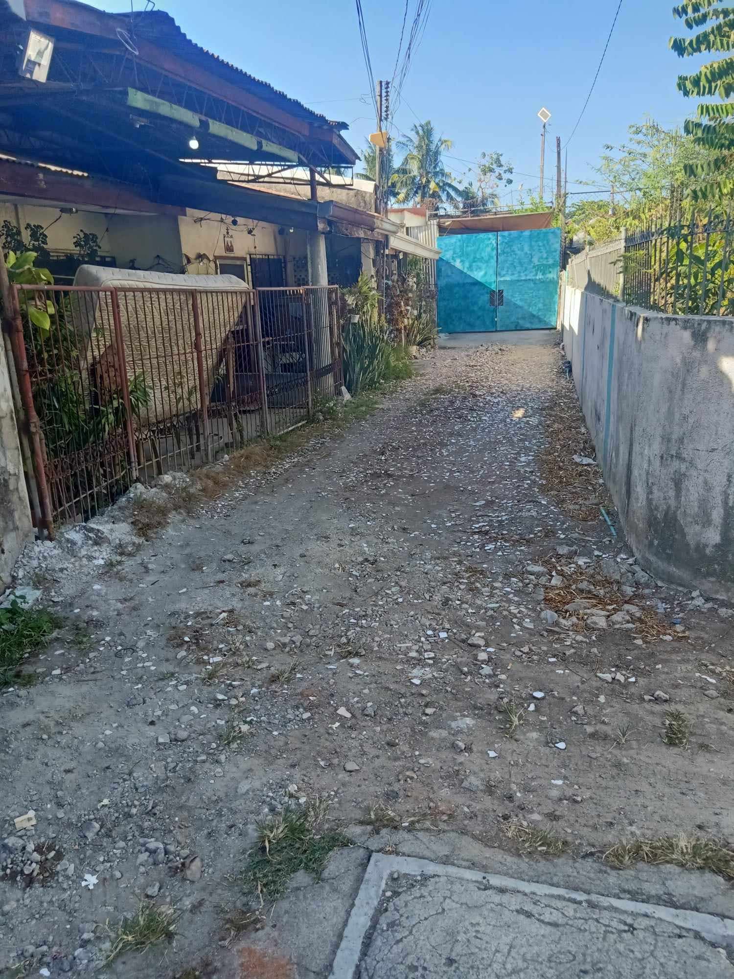 RESIDENTIAL LOT FOR SALE IN MANDAUE CITY - photo 1