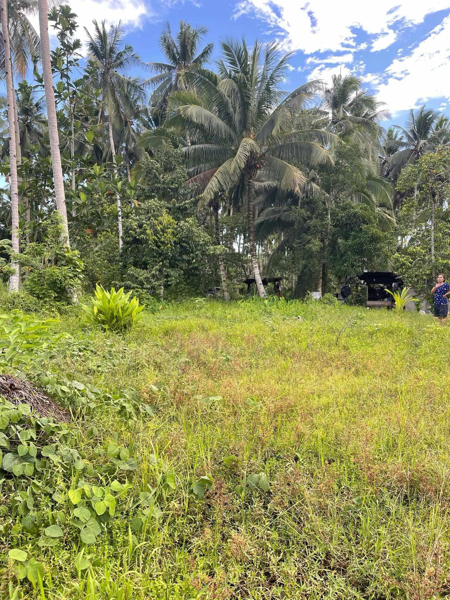 LOT FOR SALE AT TAGUM CITY - photo 3