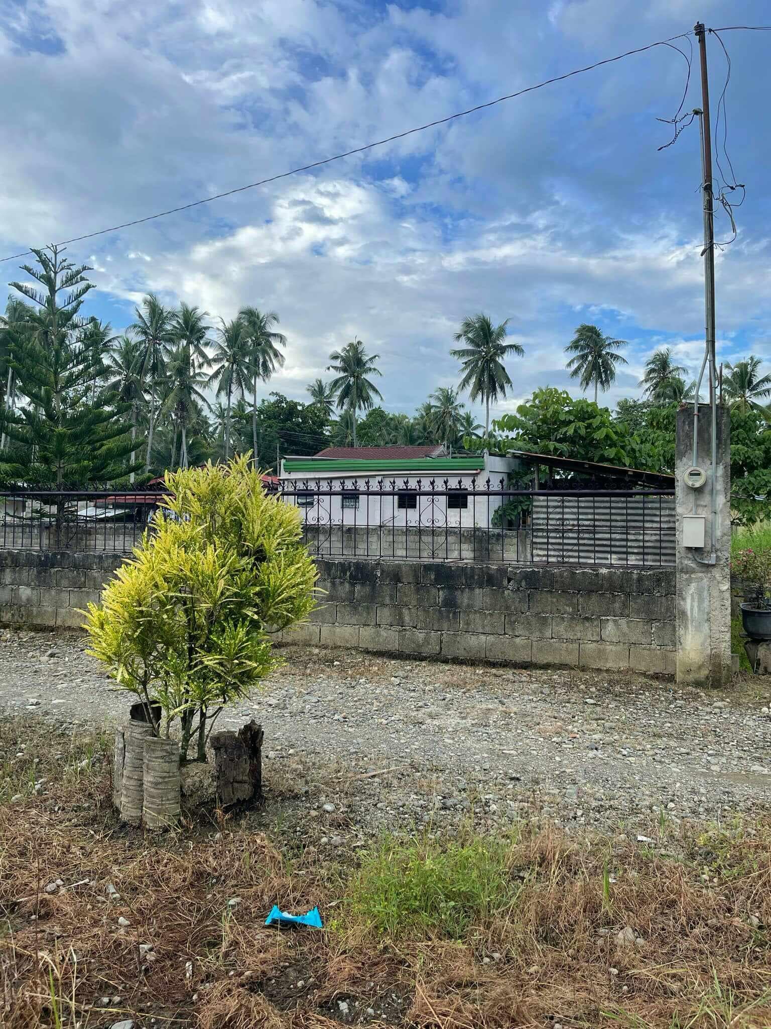 LOT FOR SALE AT TAGUM CITY - photo 1