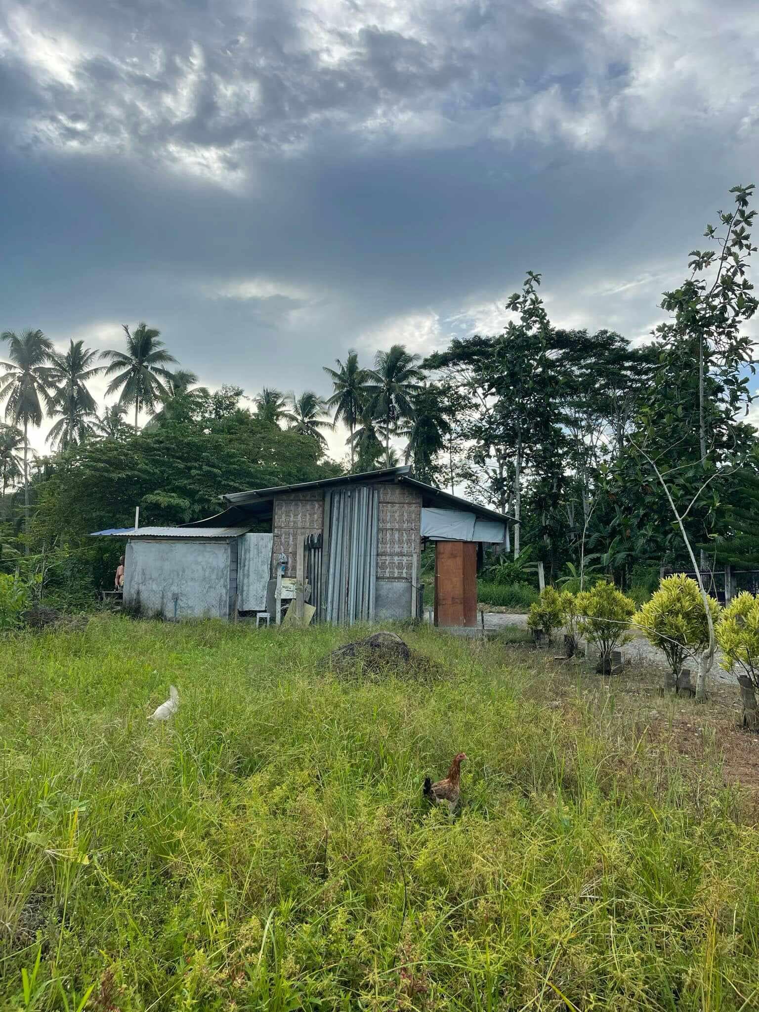 LOT FOR SALE AT TAGUM CITY - photo 5