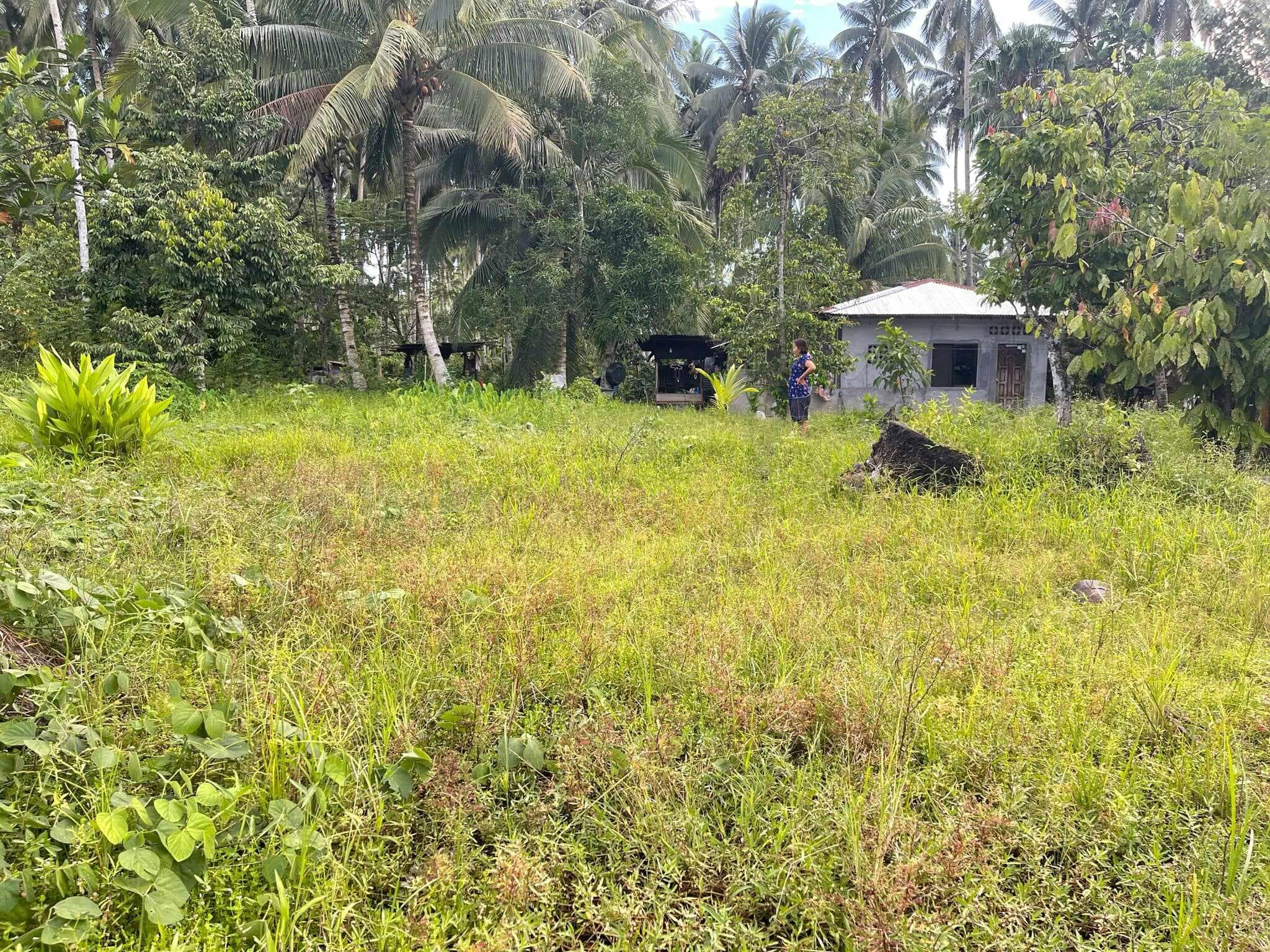 LOT FOR SALE AT TAGUM CITY - photo 4