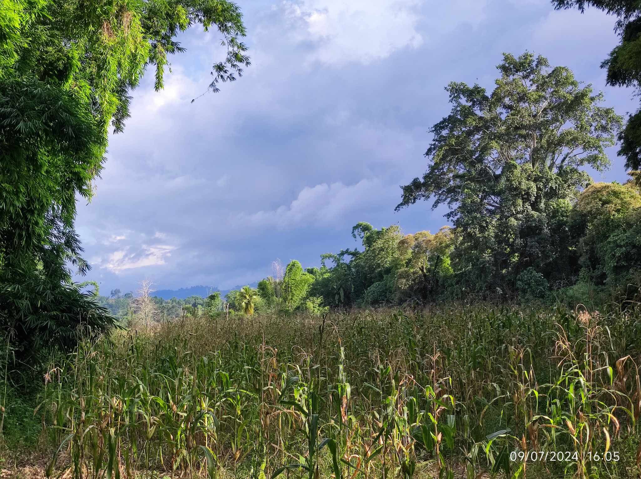 Titled Riverside agricultural lot Ideal for Resort or Farmhouse - photo 2