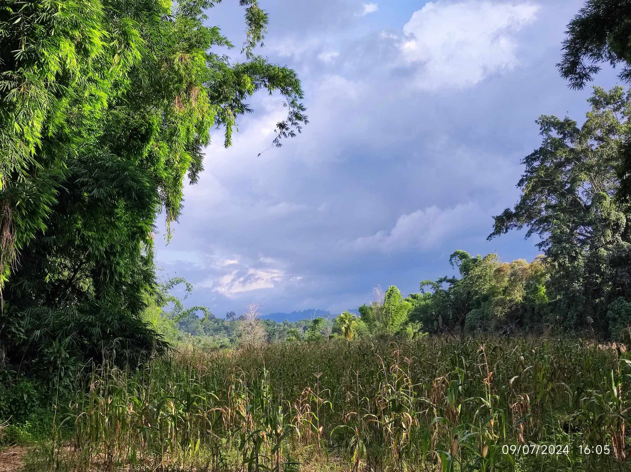 Titled Riverside agricultural lot Ideal for Resort or Farmhouse - photo 1