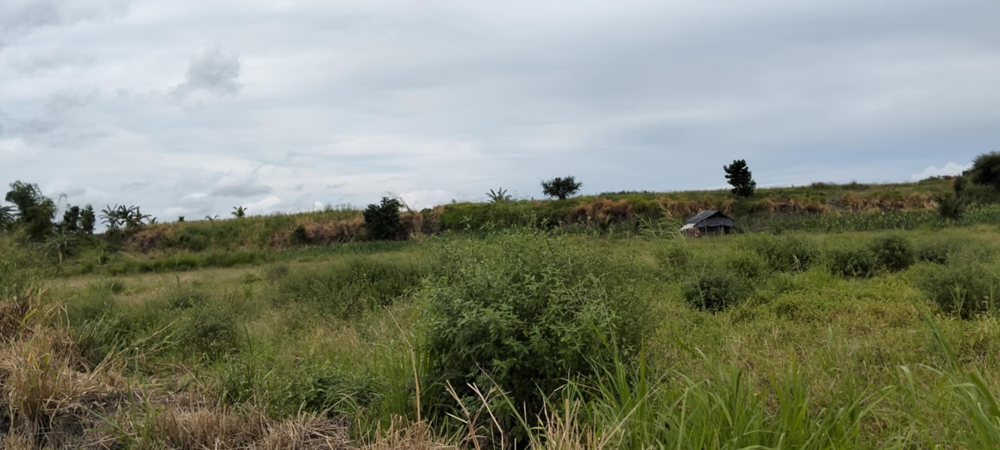 San Jose Lot - photo 2