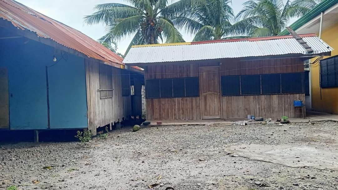 Nunez St Extension - photo 4