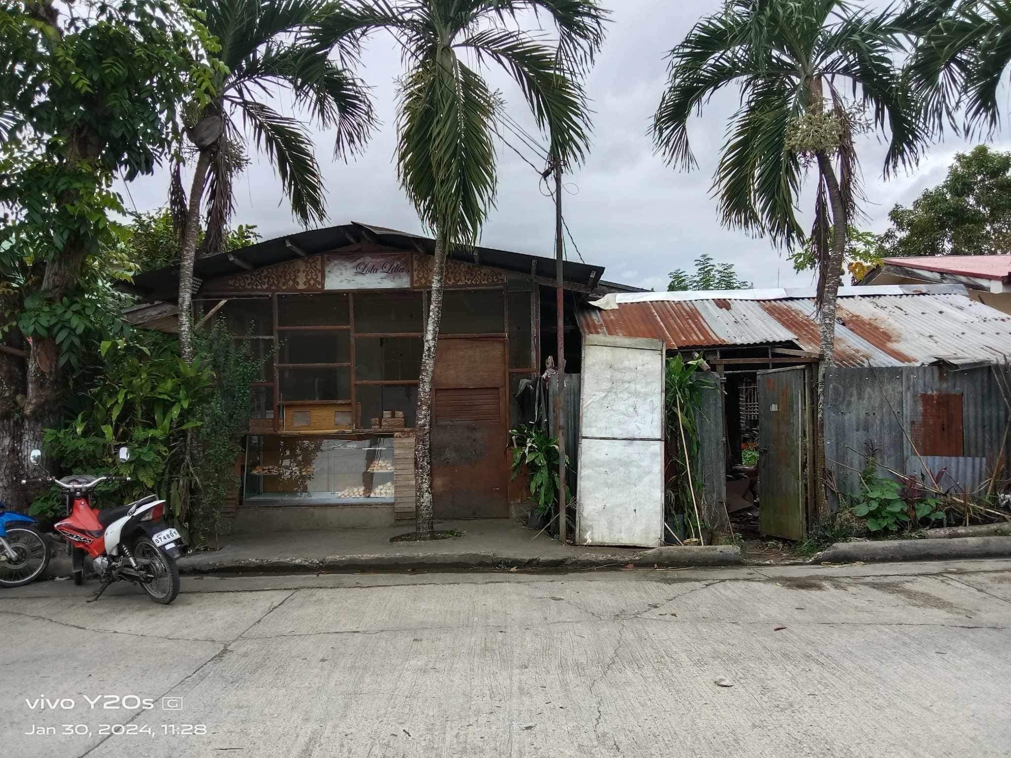 LOT FOR SALE ALONG THE ROAD - photo 1