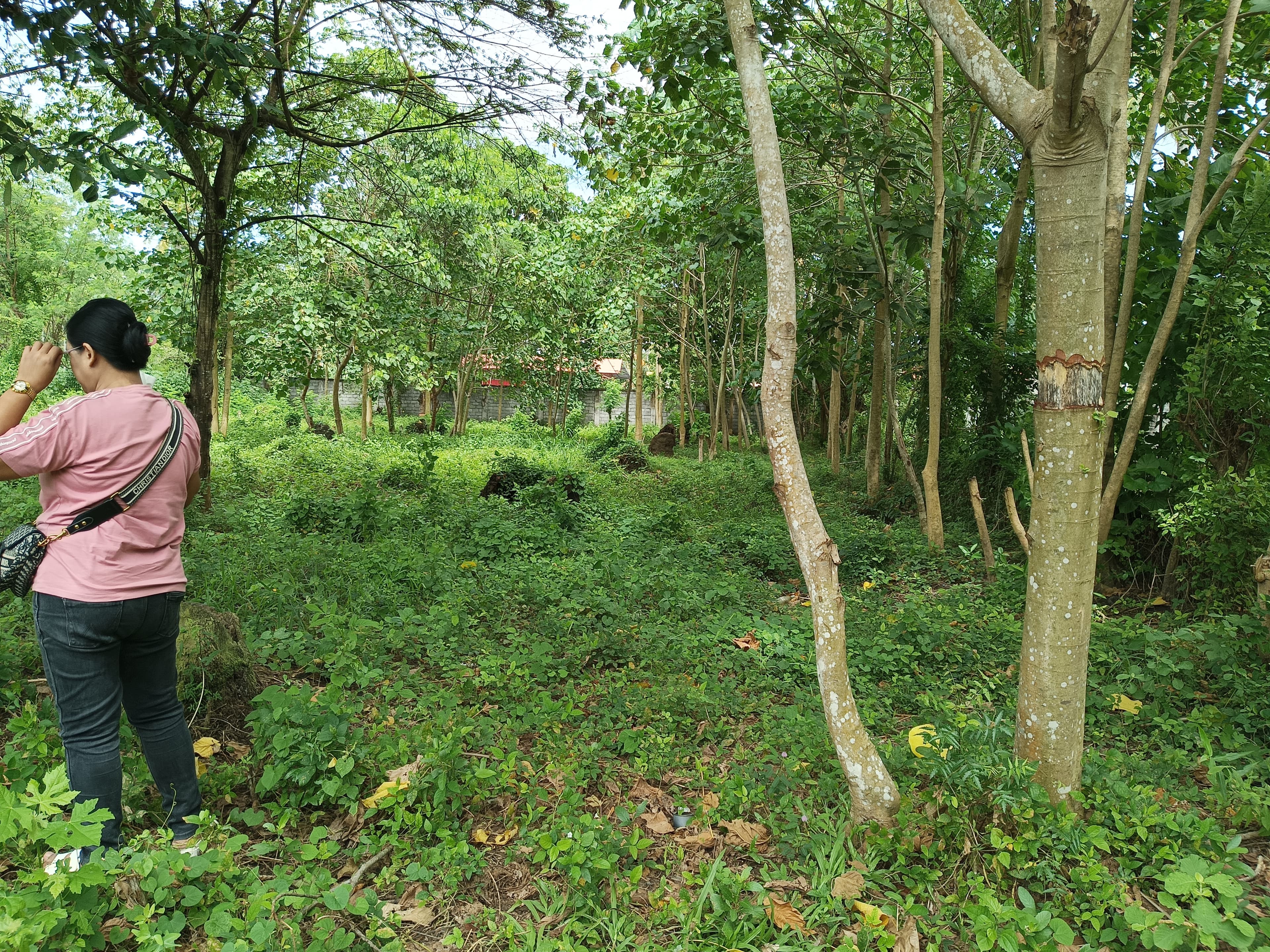 Lot for sale - photo 5