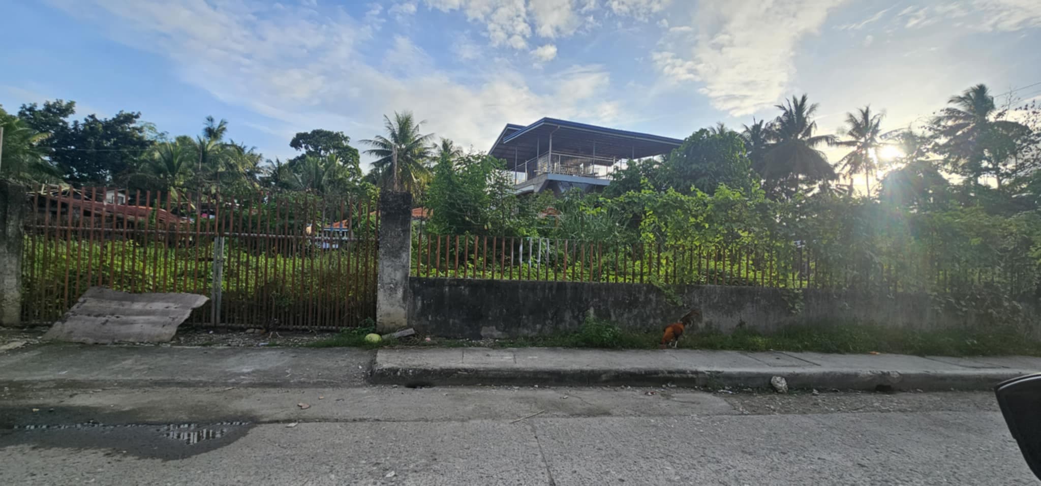 COMMERCIAL LOT FOR RENT AT TABOC CAMALIGBATO DANAO CITY - photo 3