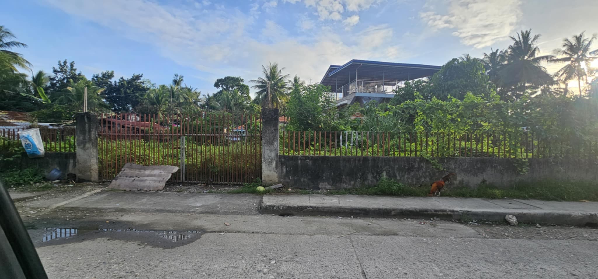 COMMERCIAL LOT FOR RENT AT TABOC CAMALIGBATO DANAO CITY - photo 2