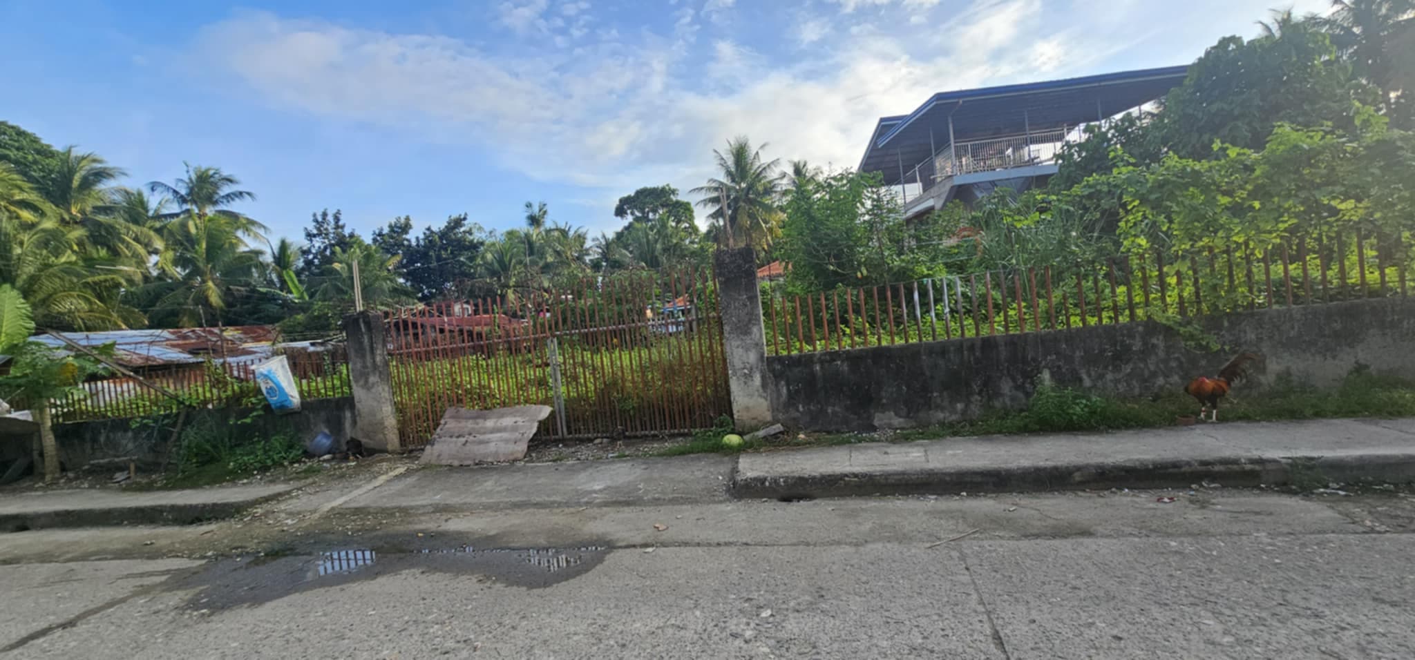 COMMERCIAL LOT FOR RENT AT TABOC CAMALIGBATO DANAO CITY - photo 1