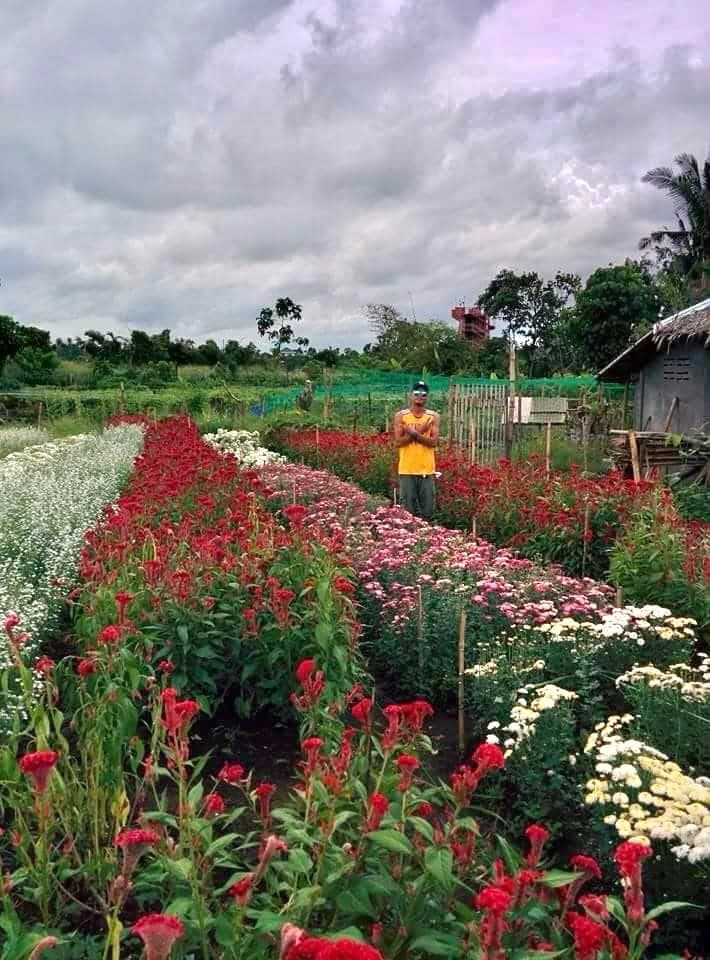 Farm Lot in Pacol/Carolina
