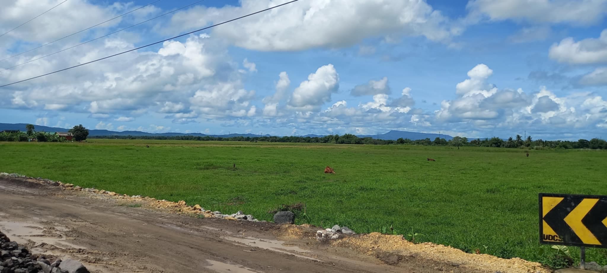 Lot For Sale Agriculture Land