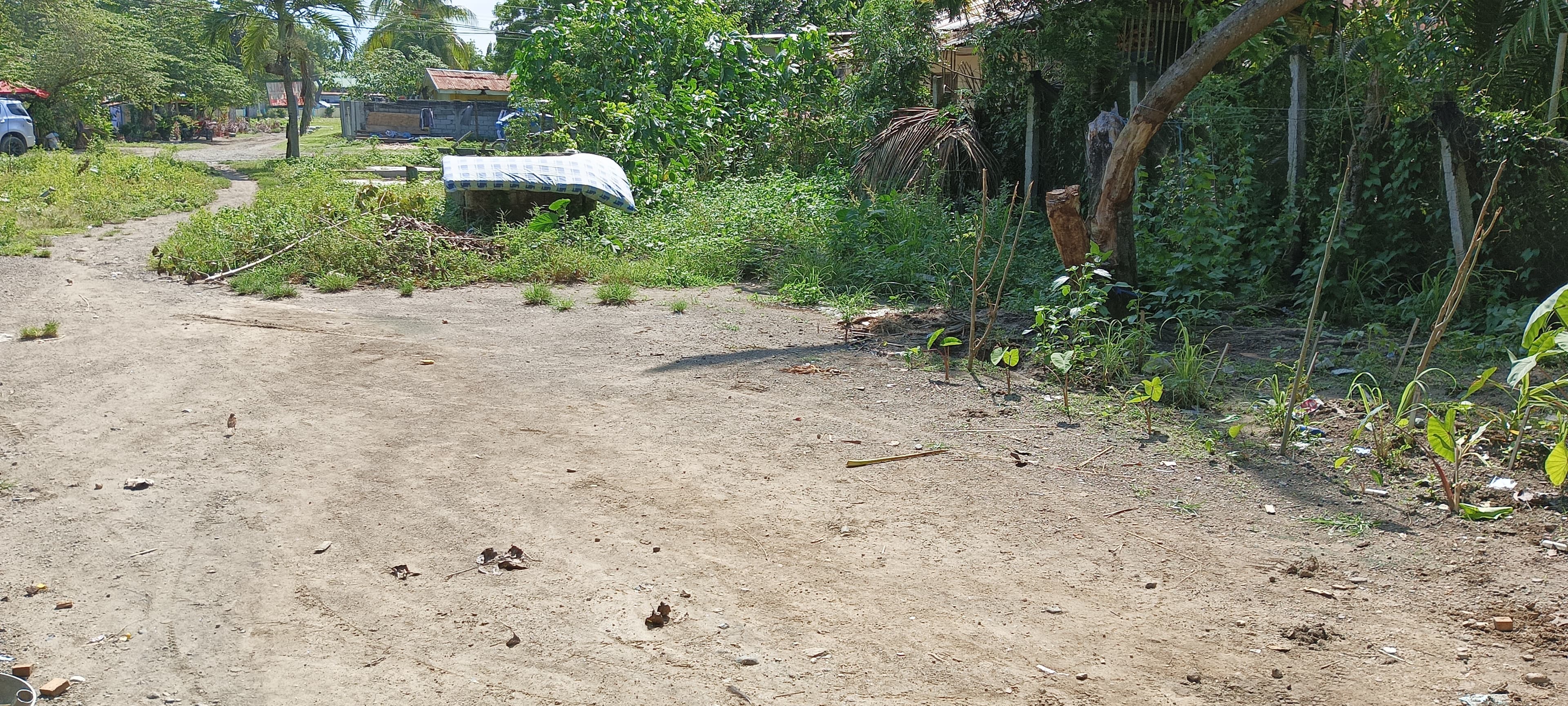 Lot for sale - photo 6