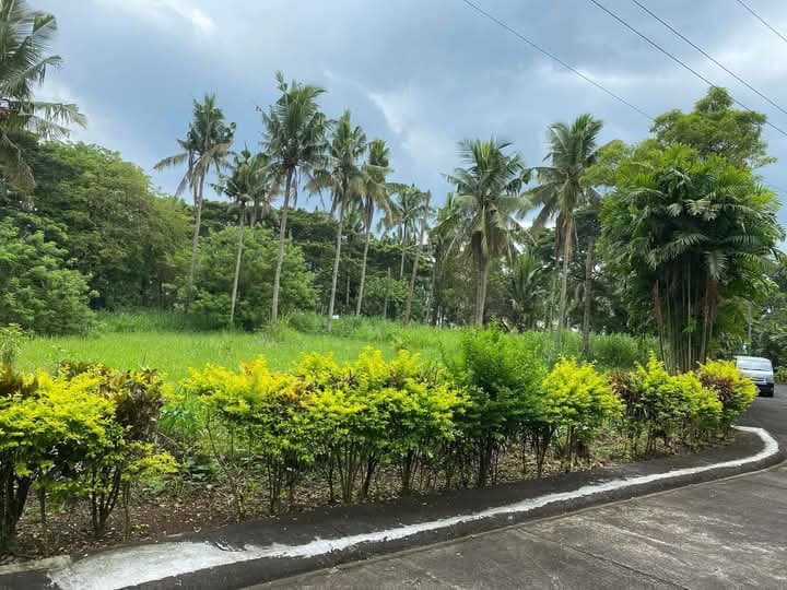 PRIME (FARM) LAND IN TIERRA MARIA ESTATES