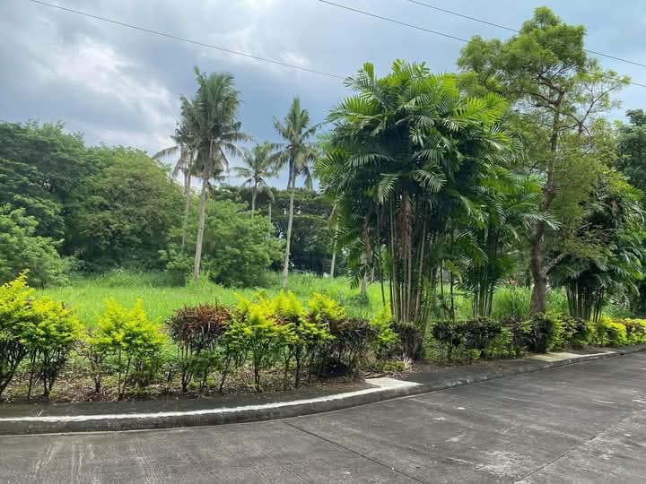 PRIME (FARM) LAND IN TIERRA MARIA ESTATES - photo 2