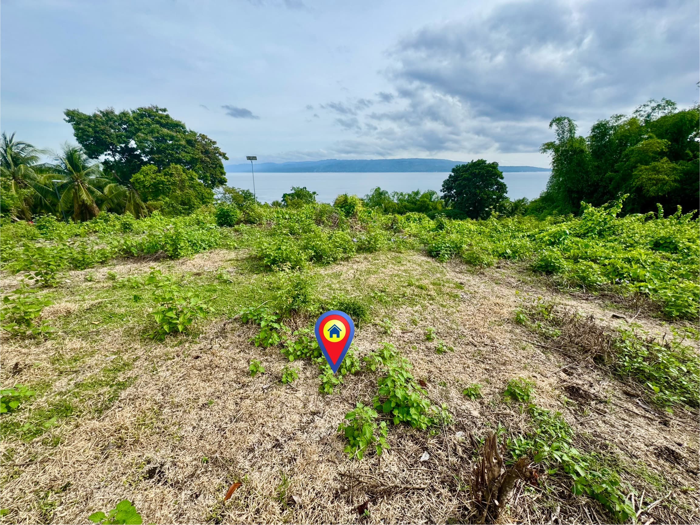 Overlooking Lot For Sale at San Jose, Negros Oriental - photo 1