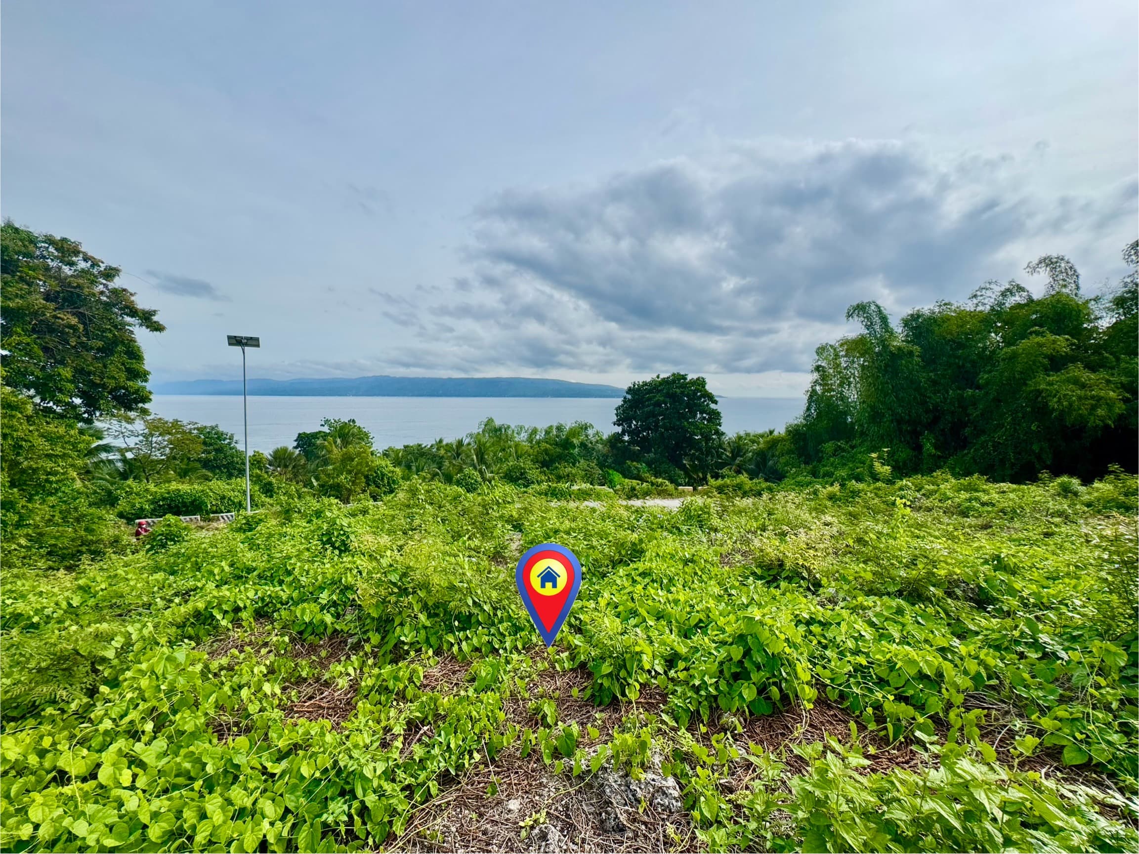 Overlooking Lot For Sale at San Jose, Negros Oriental - photo 3