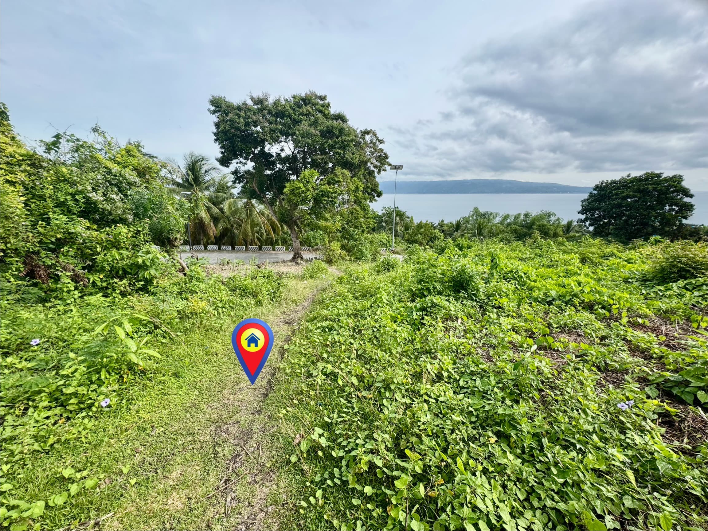 Overlooking Lot For Sale at San Jose, Negros Oriental - photo 2