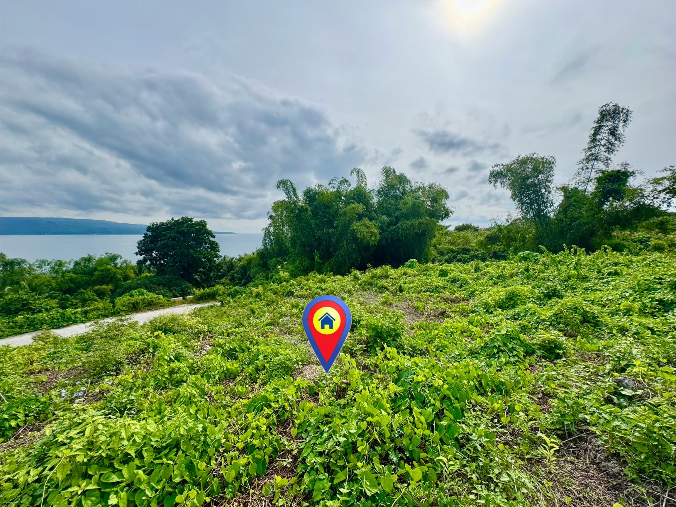 Overlooking Lot For Sale at San Jose, Negros Oriental - photo 4