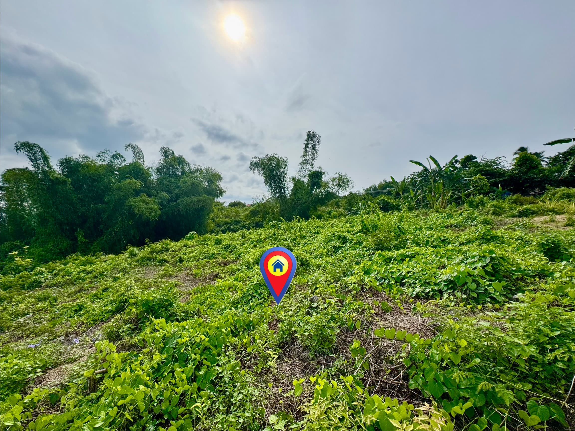 Overlooking Lot For Sale at San Jose, Negros Oriental - photo 5