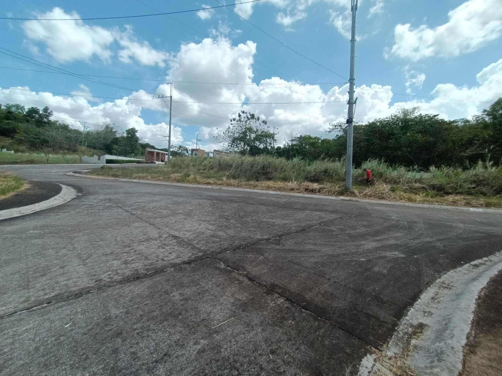 LOT FOR SALE AT THE GLADES TIMBERLAND - photo 4