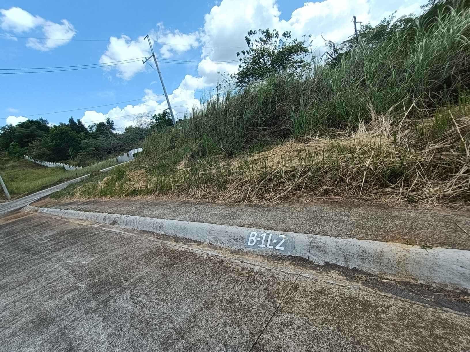 LOT FOR SALE AT THE GLADES TIMBERLAND - photo 1