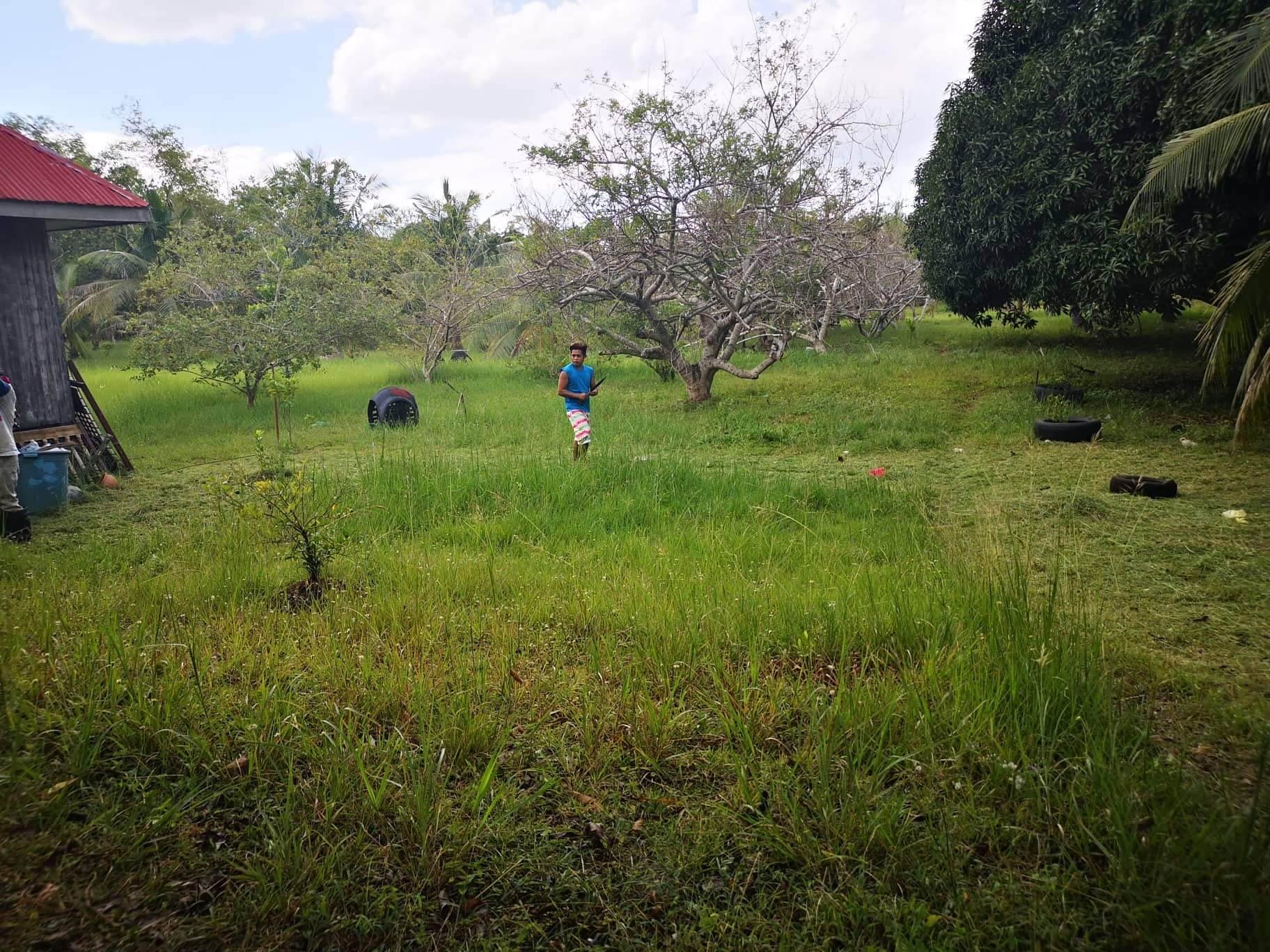 Property for Sale in panglao - photo 4