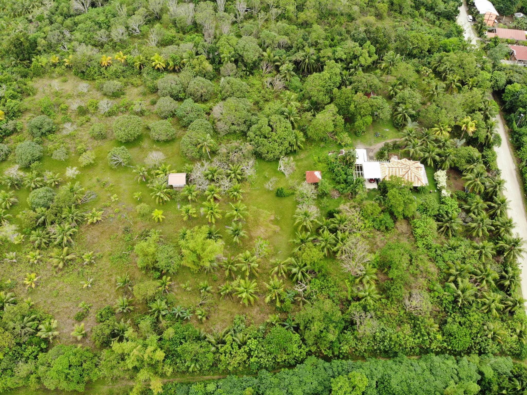 Property for Sale in panglao - photo 7